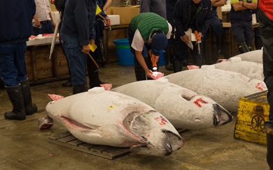 Toyosu Market