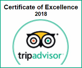 tripadvisor